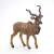 Papo Kudu Antelope Figurine, realistic animal toy for kids, brown and white, standing pose