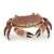 Papo Crab Figurine, realistic hand-painted toy for kids