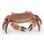 Papo Crab Figure - Realistic Sea Animal Toy for Kids