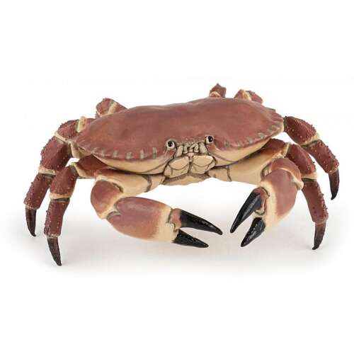 Papo Crab Figurine, realistic hand-painted toy for kids