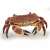 Papo Crab Figurine, realistic hand-painted toy for kids