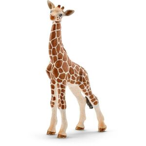 Schleich Giraffe Calf Toy Figure, collectible animal model - Schleich