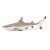 Papo Blacktip Reef Shark figurine, realistic hand-painted model, perfect for kids and collectors