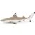 Detailed Papo Blacktip Reef Shark Toy for Imaginative Play