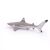 Papo Blacktip Reef Shark Toy Figure - Realistic Ocean Animal