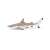 Papo Blacktip Reef Shark figurine, realistic hand-painted model, perfect for kids and collectors