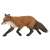Papo Red Fox Figurine, realistic animal toy for kids