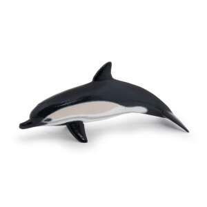 Közönséges delfin 85015754 