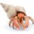 Papo Hermit Crab Figurine - Realistic Sea Life Toy