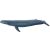 Papo Blue Whale Figure - 38.5cm Realistic Sea Animal Toy