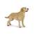 Papo Labrador Retriever Figurine, yellow, realistic dog toy for kids
