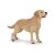 Realistic Papo Labrador Retriever figure, perfect for kids