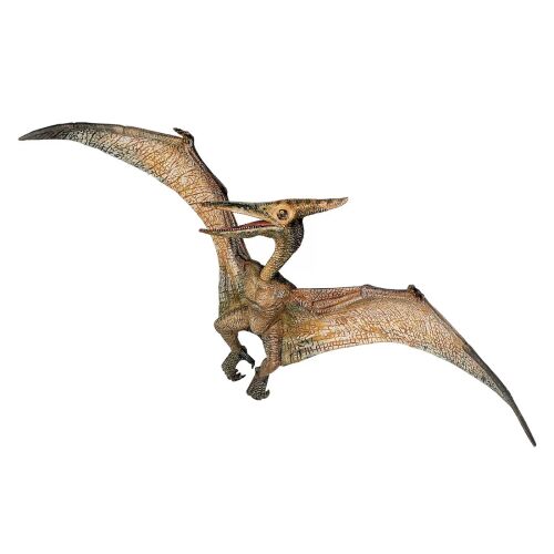 Close-up of Papo Pteranodon Dinosaur Figure - High-Quality Detail
