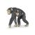 Papo Chimpanzee Mother and Baby Figurine - Animal Figure