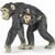 Realistic Papo Chimpanzee Family Figurine for Collectors