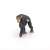 Papo chimpanzee with baby figurine, realistic animal toy for kids