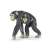 Papo chimpanzee with baby figurine, realistic animal toy for kids