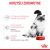 ROYAL CANIN FHN Babycat Instinctive Feline mus - mokra karma dla kociąt - puszka - 195 g 69224936