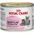 ROYAL CANIN FHN Babycat Instinctive Feline mus - mokra karma dla kociąt - puszka - 195 g 69224936