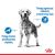 Royal Canin Light Weight Care - Közepes Termetű Kutyáknak - 3kg 56342105