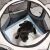 Dog lying down inside Springos portable pet playpen