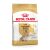 ROYAL CANIN BHN Yorkshire Ageing 8+ — Trockenfutter für ältere Hunde — 1,5 kg 56342755