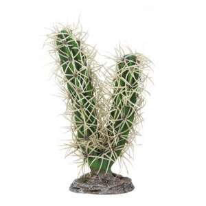 HOBBY Kaktusz Simpson 9x6x16cm 56343088 