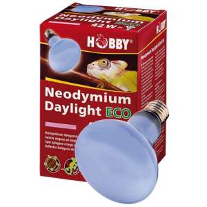 HOBBY Neodymium Daylight ECO 42W -nappali halogén világítás 56343560 