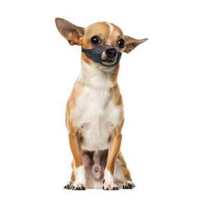 DUVO+ Szájkosár - Textil - XS - 39-51cm 91510253 - Szájkosár