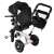 Ikonka Trike Fix V3 Black Tricycle rear view