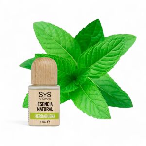 SyS Aromas Spearmint Illóolaj 12ml friss menta levelekkel - Laboratorio SyS