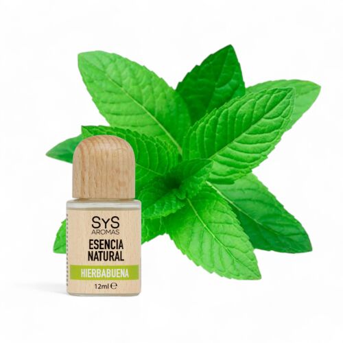 SyS Aromas Spearmint Illóolaj 12ml friss menta levelekkel