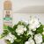 Ulei esențial SyS Aromas Gardenia 12ml cu flori albe de gardenie