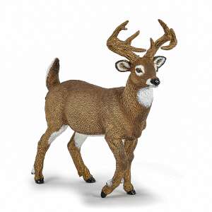 Papo White-Tailed Deer Figurine, realistic animal toy for kids - Papo Figure
