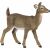 Realistic White-tailed Deer Figure by Papo - Animal Toy for Collectors