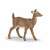 Papo White-tailed Deer Figurine