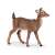 Papo White-tailed Deer Figurine