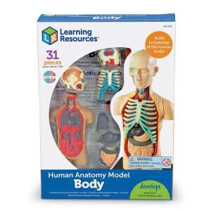 Az emberi test modellje 56447307 Tudományos és felfedező játékok - 15 000,00 Ft - 50 000,00 Ft