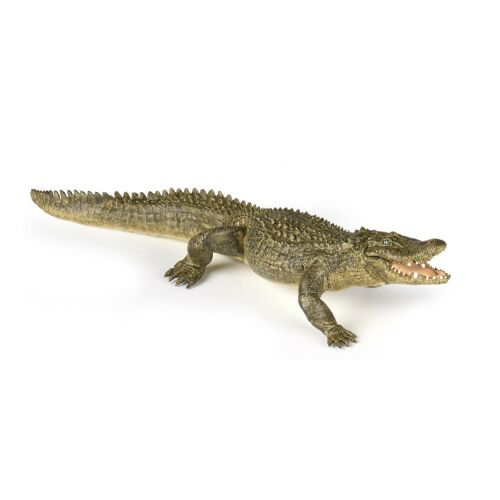 Papo Alligator Figure - 19cm realistic toy