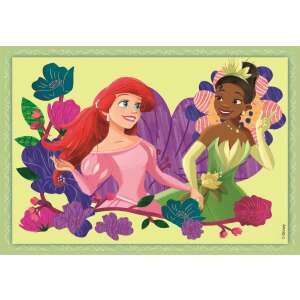 Kus puzzle Disney Princess Ariel a Tiana, súčasť sady puzzle 4 v 1 - Puzzle