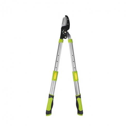 Fieldmann FZNR 1013 Telescopic Tree Pruner, extendable branch cutter