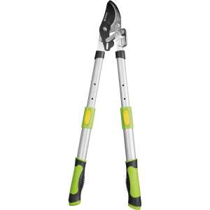 Fieldmann FZNR 1022 Telescopic Pruner, Green