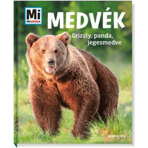 Mi MICSODA Medvék könyv, Grizzly, panda, jegesmedve, gyerekkönyv, ismeretterjesztő könyv - Panda