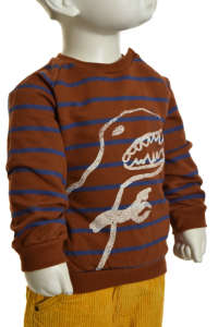 Zara boy's brown and blue striped sweater with dinosaur print - Kids' Sweater & Cardigan