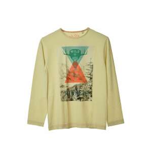 Tom Tailor Wild long sleeve t-shirt for boys, yellow with a print of a mountain landscape and a deer, size 152 - Tom Tailor