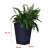 Keter Rattan Planter M, Graphit, hoher quadratischer Pflanzer, Abmessungen: 38 cm x 38 cm x 57 cm