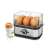 Tescoma President electric egg cooker with 4 boiled eggs and a boiled egg in a holder