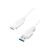 Short white Logilink USB-C to USB-A cable