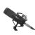 Genesis Radium 300 Studio microphone XLR black 114067577