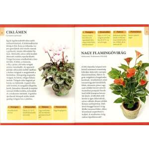 Otthonunk növényei 1. - Virágzó cserepes szobanövények 32801565 Kertészeti könyvek